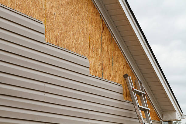 Best Storm Damage Siding Repair  in Litchfield, MN